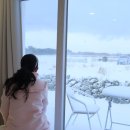 제주스럼 이미지