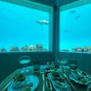 🏝️몰디브9월우기 신혼여행후기 4&gt; 몰디브 4일차- 오젠라이프마두 올인클루시브 오션뷰 헬스장,해저...