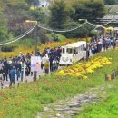 황룡강 꽃길 이미지