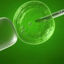 에이치비엘 이미지