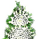 센텀초등학교 앞 이미지