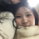 패닉볼트 이미지