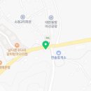 소동느티나무 이미지