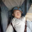 달성공원 동물병원 이미지