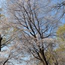 11650-1-10-630 | 부천 맛집 까치울역 수타면의 진수, [수타원] 10번째 방문 후기