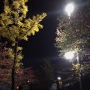 설봉한의원 이미지