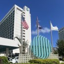 [괌] 괌리프호텔 Reef Hotel 오션뷰 3박 후기 테라스 수영장
