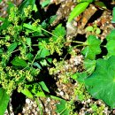 성모초교 이미지