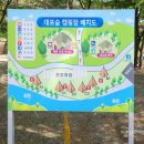 대포숲캠핑장