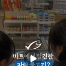 파란에코