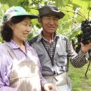 샤인하우스 가동 이미지