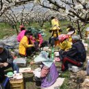 송병주농장 이미지