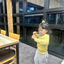 신났다노래연습장 | 제주 아기랑 숙소 제주도 금호리조트 교래퐁낭 한반도포토존 큰엉해안 후기