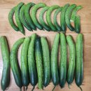 민숙농장 이미지