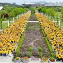 의료법인 인천사랑의료재단 이미지