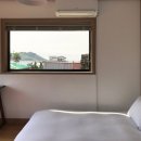 느영나영고치 이미지