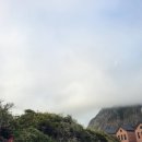 사우스사계