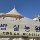 차씨네농장 이미지