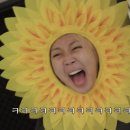 강릉본가족발