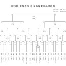 제21회 박찬호기 전국초등학교 야구대회 (대진표) 이미지