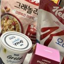 요거트 포켓 | 메일 그릭요거트 플레인 무지방 랩노쉬 포켓 아사이 내돈내산 후기