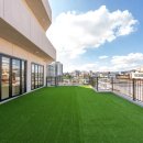 광주 애견유치원 애견호텔 플레이멍 이미지