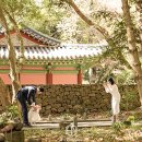 제이스팜 | [제주돌스냅 후기] 제주도 정가네밥상 돌잔치 돌스냅 / 제주돌잔치 영상 추천