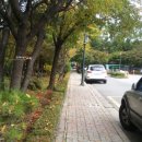 화인조경 이미지