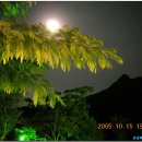 단양-단양-05 이미지