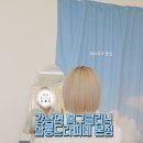 강남역 미용실 살롱드라피네 본점 탈색모 복구클리닉 후기