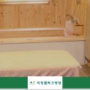 홀론테라피