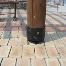 예산군공설운동장 이미지