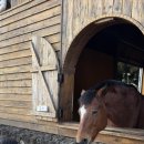 토끼게임장 이미지