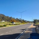 소울피시카페 | [호주 로드트립] 11일 차: 호주 전쟁 기념관에서 엉엉 울고 시티 둘러 보기