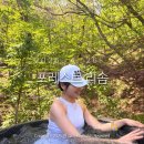 황금한방사우나 | 충북 제천 갈만한곳 '포레스트 리솜' 스파, 찜질방, 숙박후기