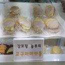 강보람고구마 이미지