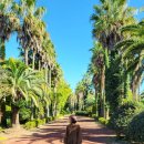 조경농장 | 제주도 포토스팟 에이디디코리아조경공사 방문후기