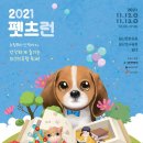 펫츠런 이미지