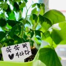 샬롬케어센터 이미지