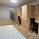 탐라구나 이미지