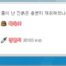 메이플씨티 이미지