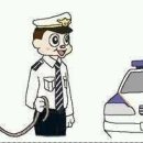 라엘스테이