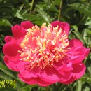부귀영화농원