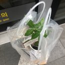 큰손소머리국밥