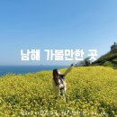 미조마을 공중화장실 이미지