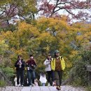 정원5호태양광발전소 | 사진으로 보는 중(12/9~11)