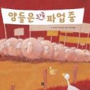 양 꿈 양털 깎는 꿈 검은 양을 보는 꿈 이미지
