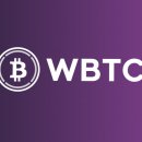 코인베이스, wBTC 거래 중단⋯ “상장 기준 충족 못해” 이미지