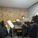 바이올린(야간) 이미지