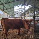 난희목장 이미지